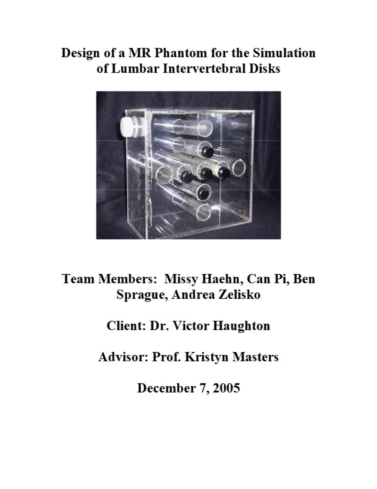 MR Phantom Design for Lumbar Disk Simulation