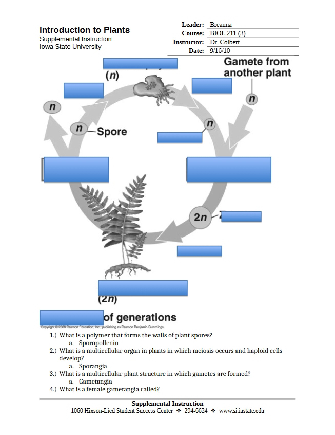 Introduction to the Plant Kingdom