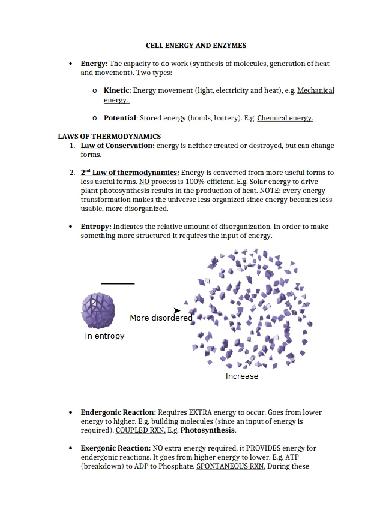 Enzymes and Cellular Energy