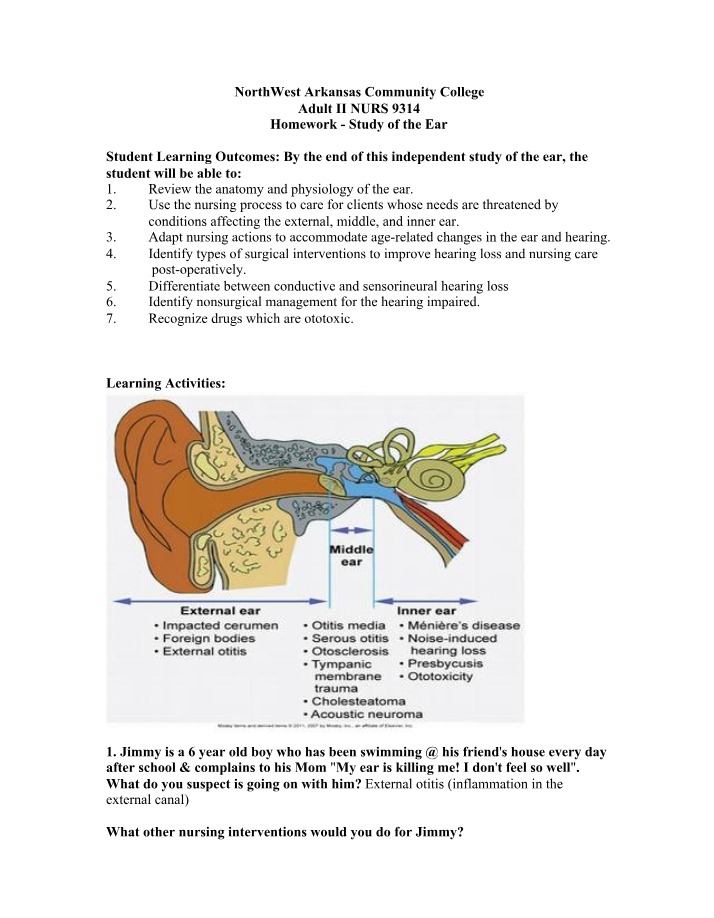 Ear Anatomy, Nursing Care, and Surgical Notes