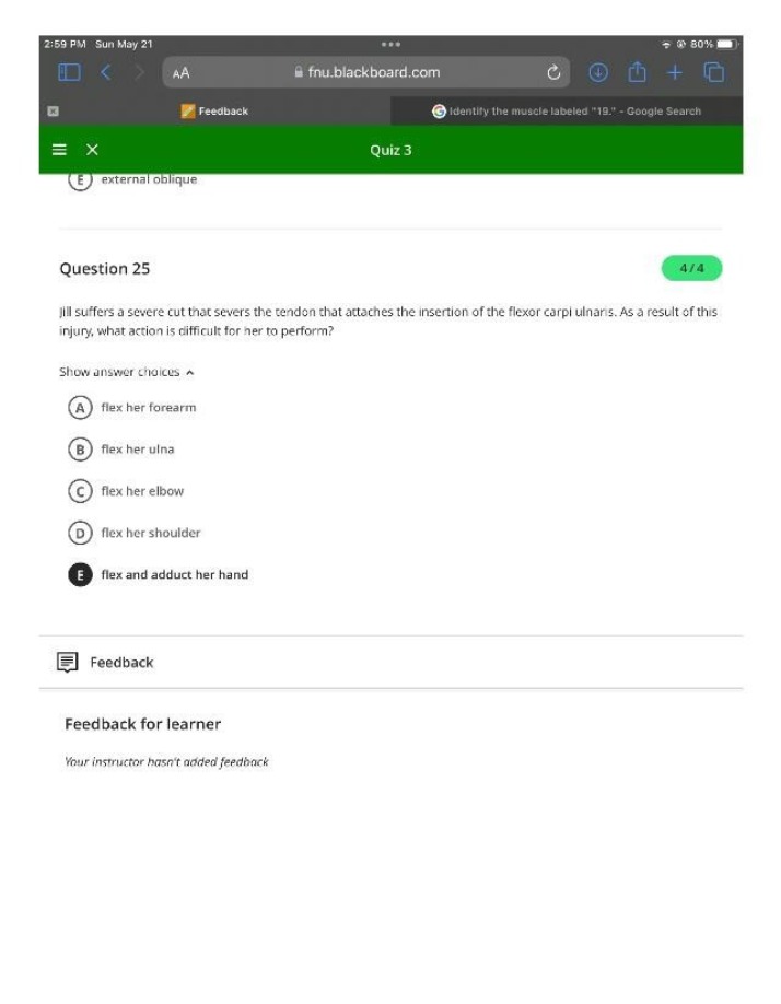 Quiz 3 - Developmental English