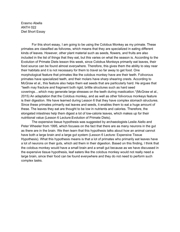 Essay on Diet
