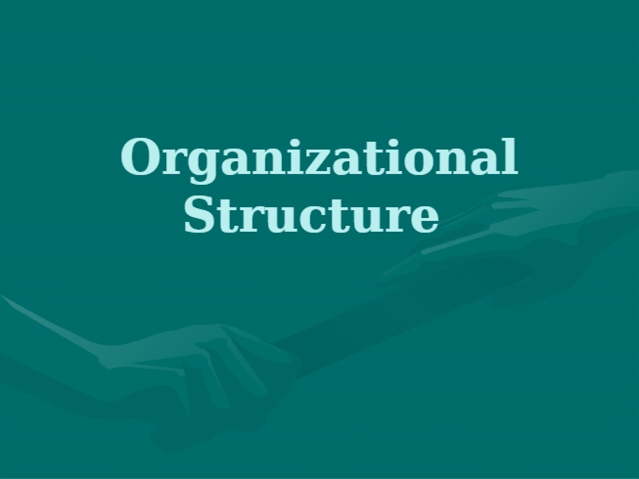 Architecture of the Organization