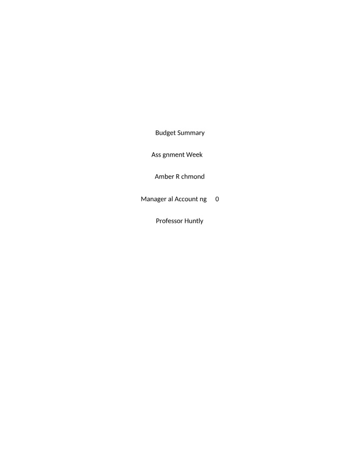 MAT100 Budget Summary