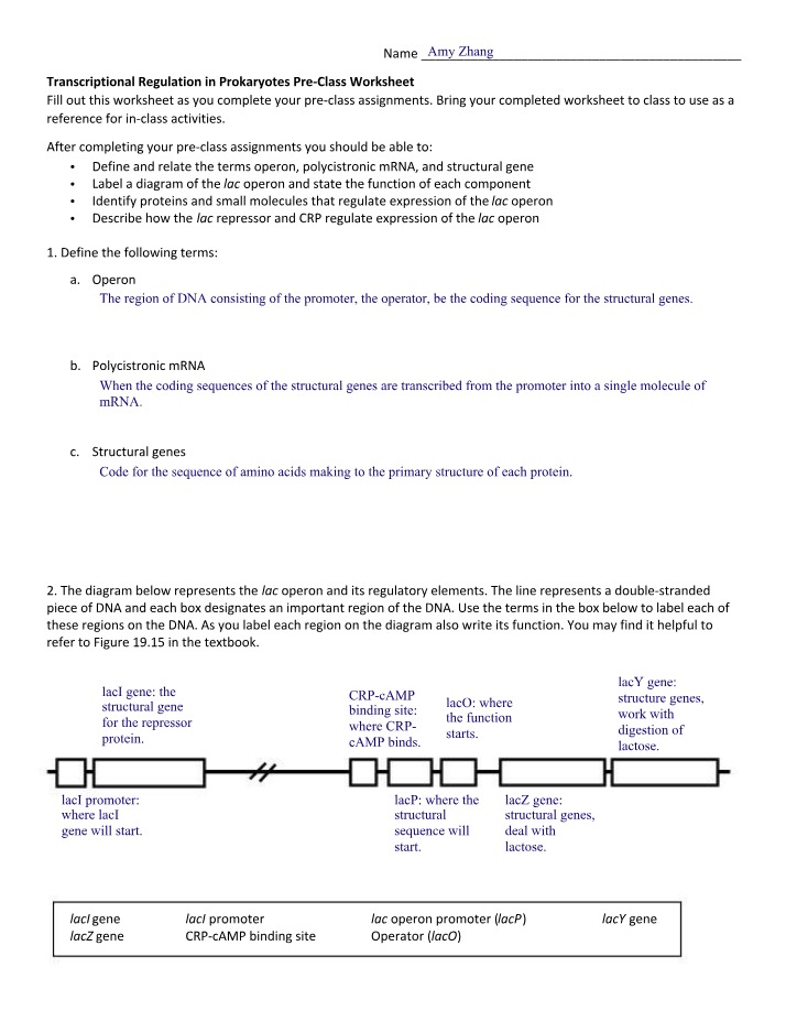 Pre-Class Worksheet on Prokaryote Transcriptional Regulation