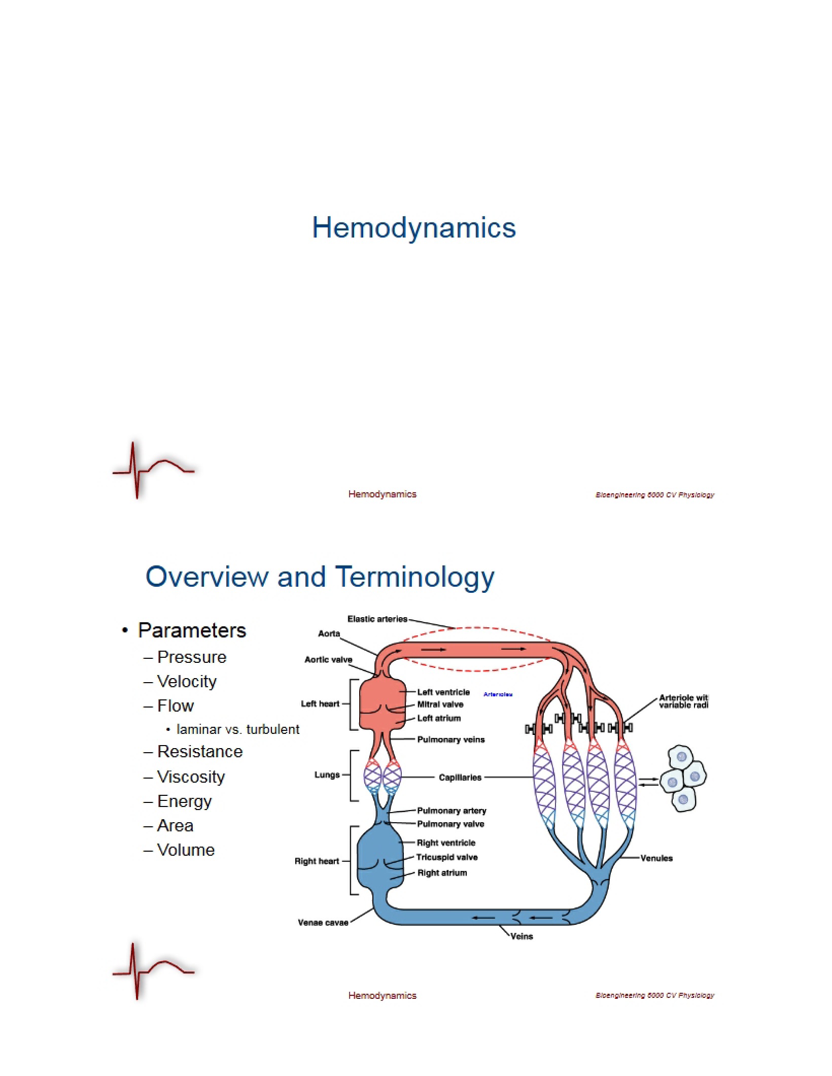 Study of Hemodynamics