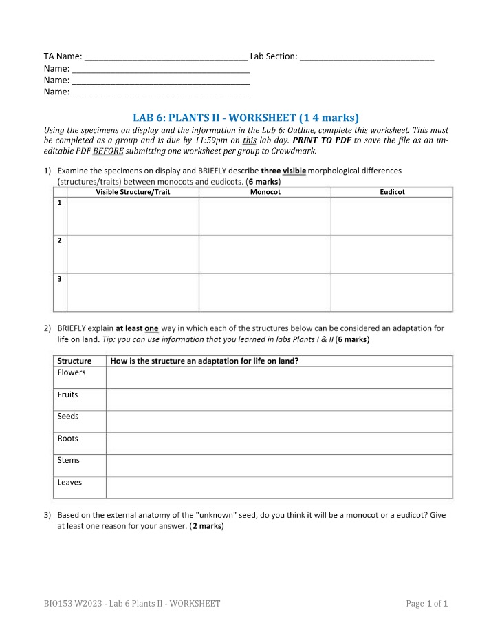 BIO153 Lab 6 - Plants II Worksheet