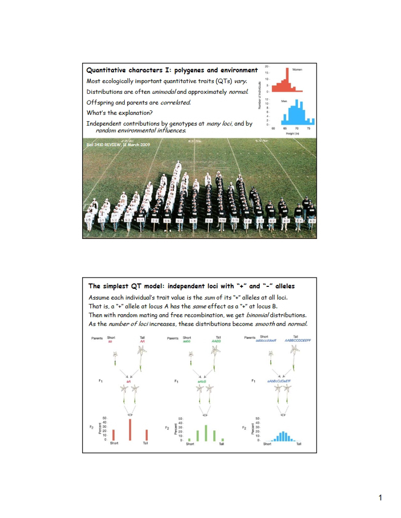Environmental Influence and Polygenes