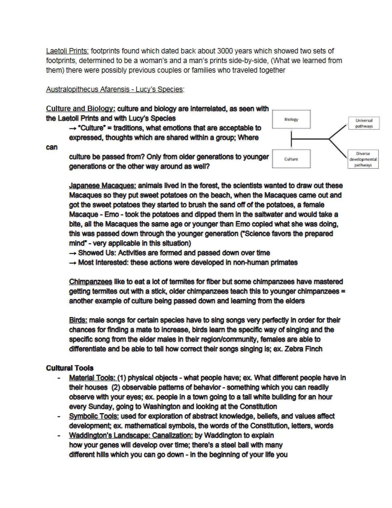 Examination of Culture and Biology