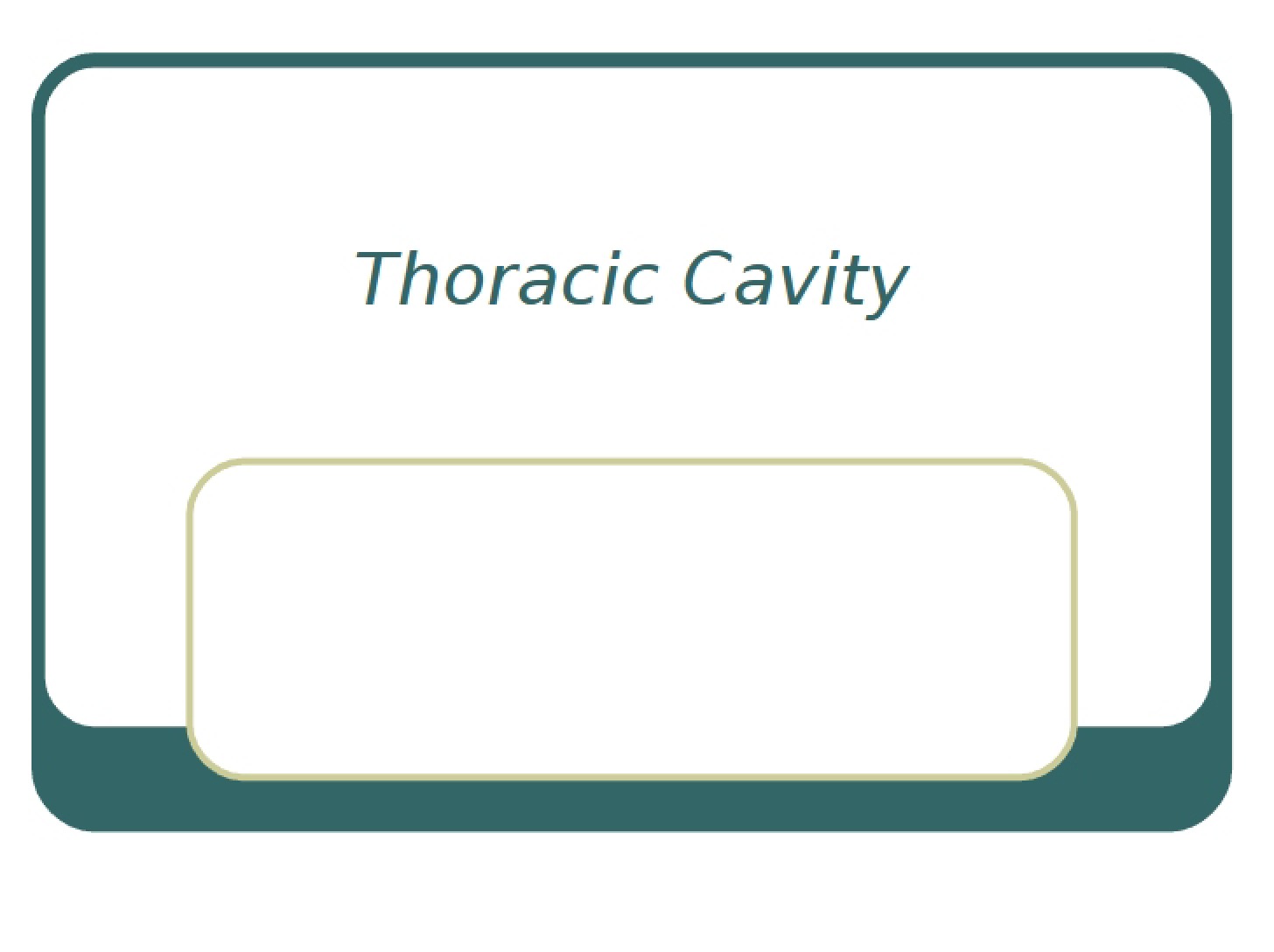 Thoracic Cavity Anatomy