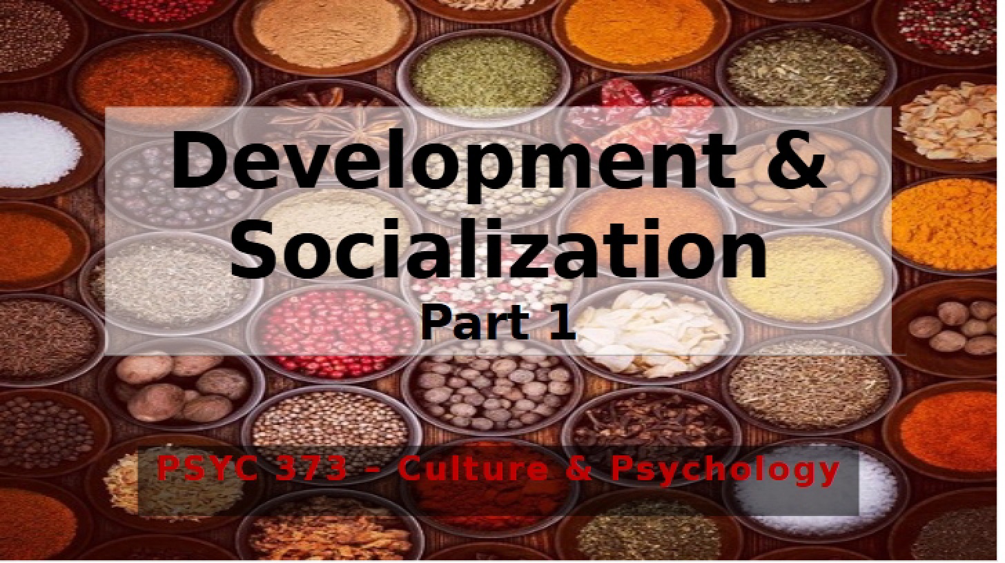 Chapter 5 Development and Socialization 1