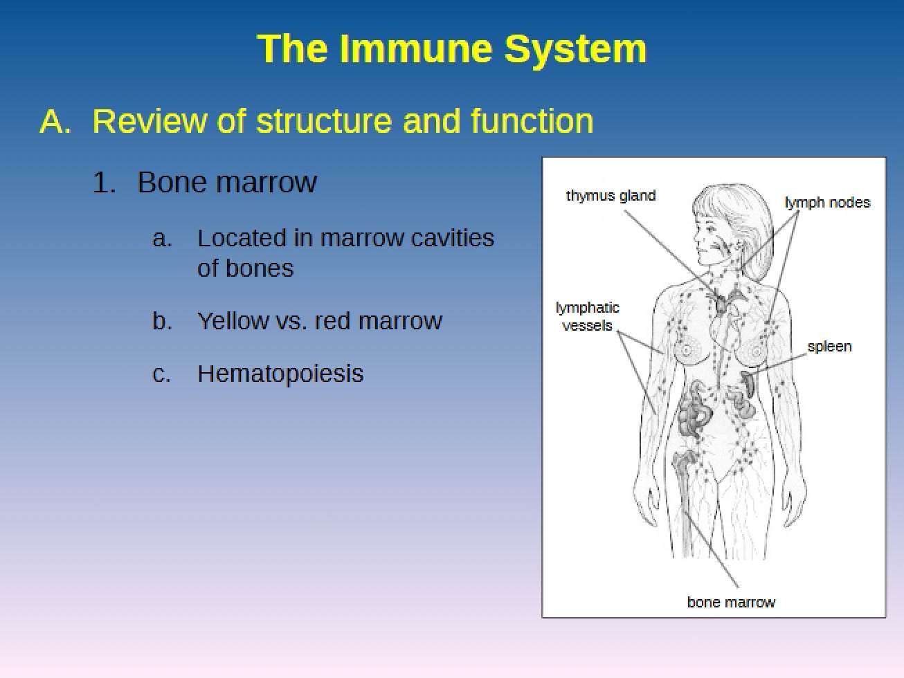Immunity System Overview