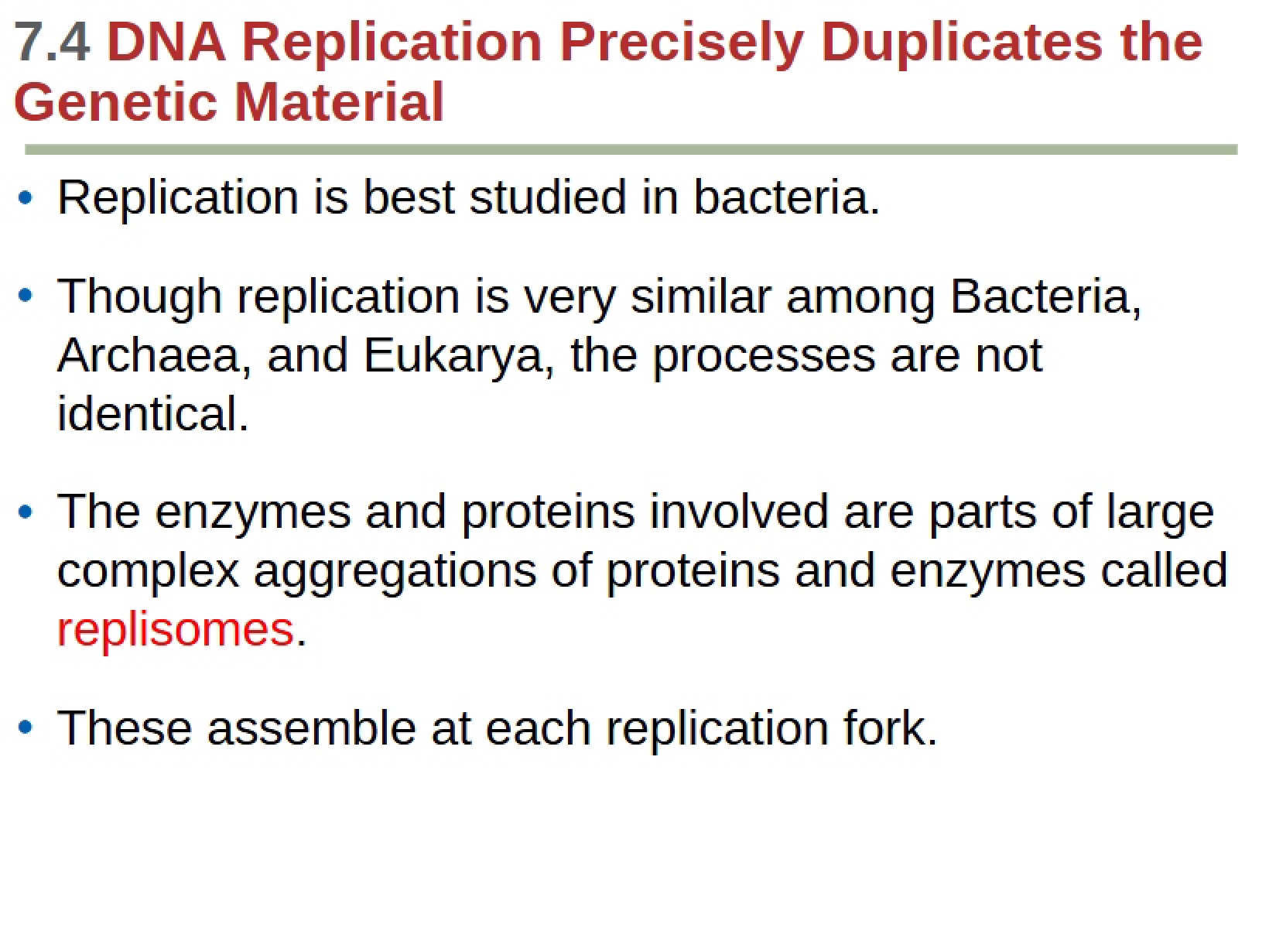 Replication of DNA