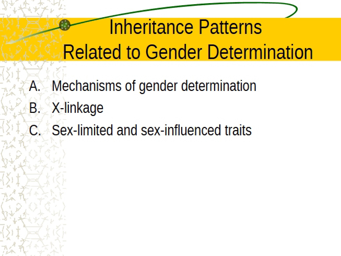 Analysis of Inheritance Patterns Related to Gender Determination