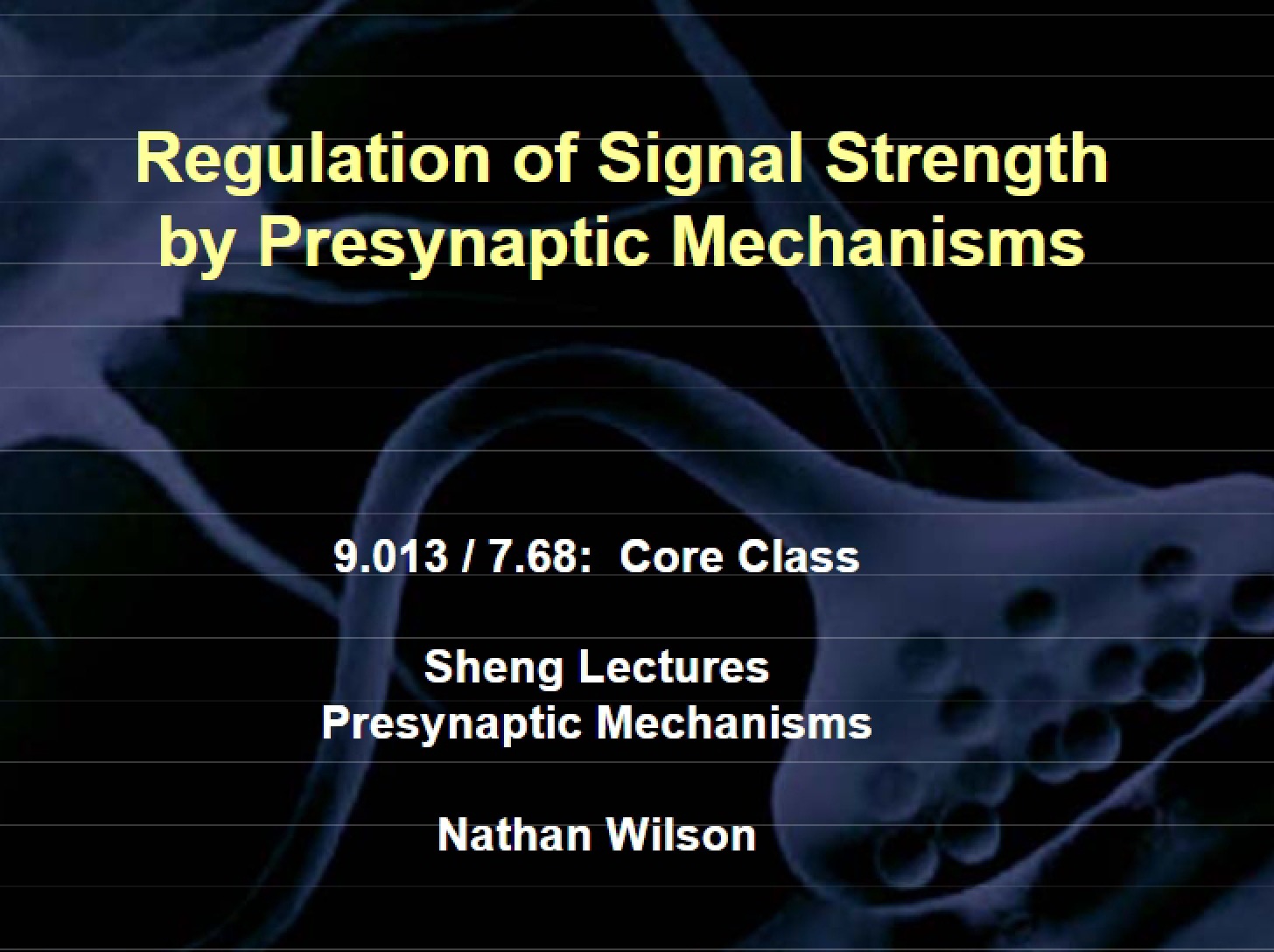 Presynaptic Mechanism Signal Strength Regulation