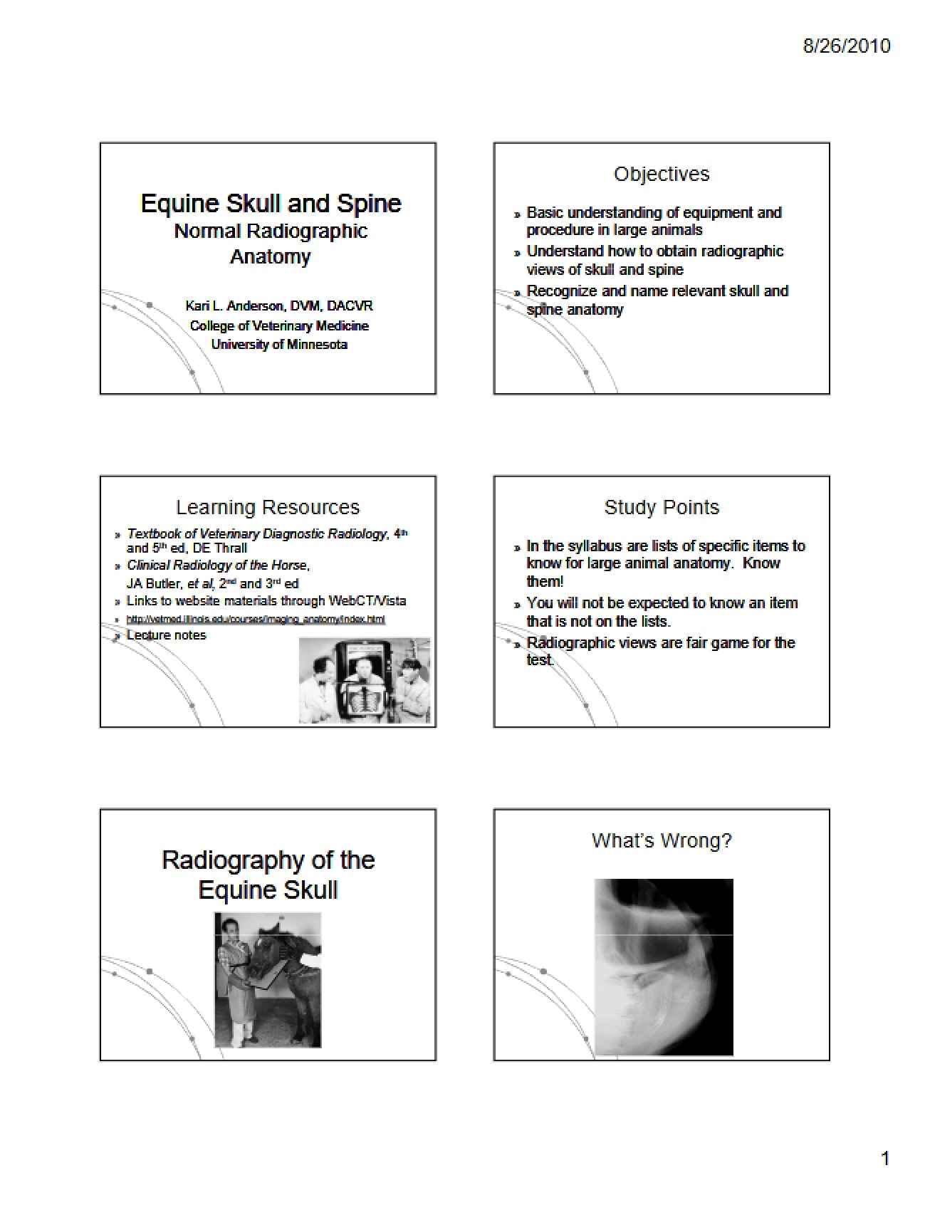 Radiographic Anatomy of the Equine Spine and Skull