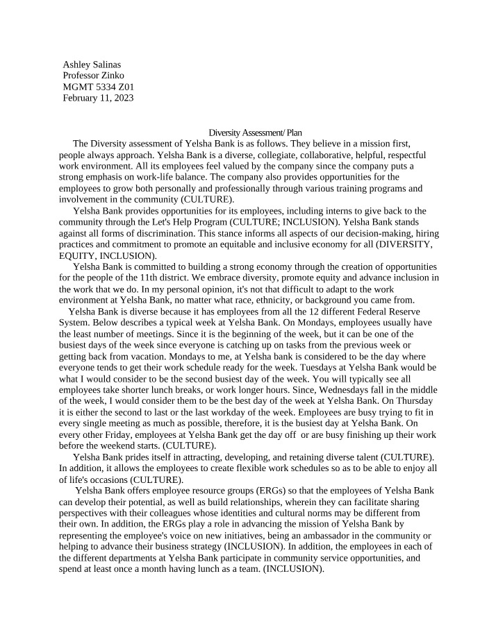 Diversity Plan and Assessment