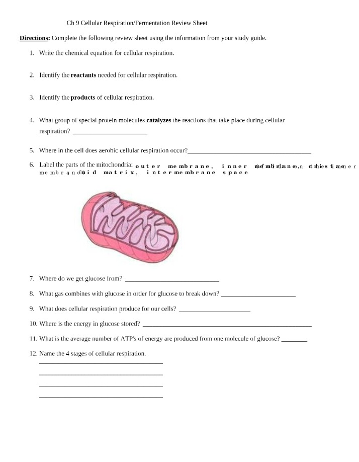 Cellular Respiration and Fermentation - Reactants and Products