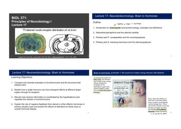 Neuroendocrinology - From Brain to Hormones