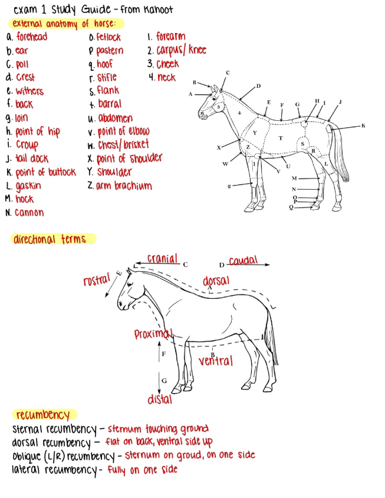 Solutions for Exam One Study Guide