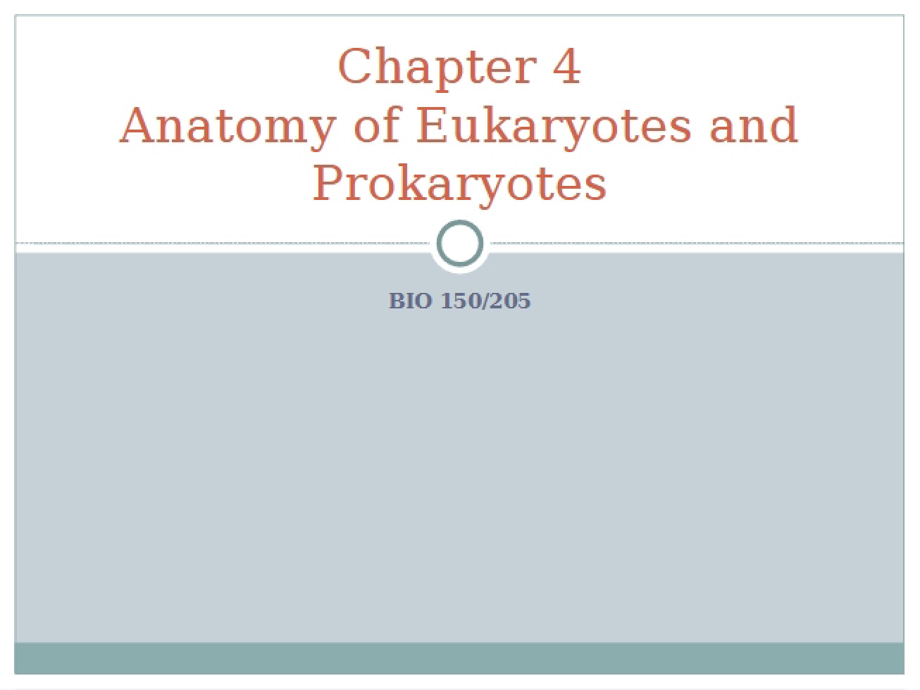Eukaryote Anatomy Chapter 4