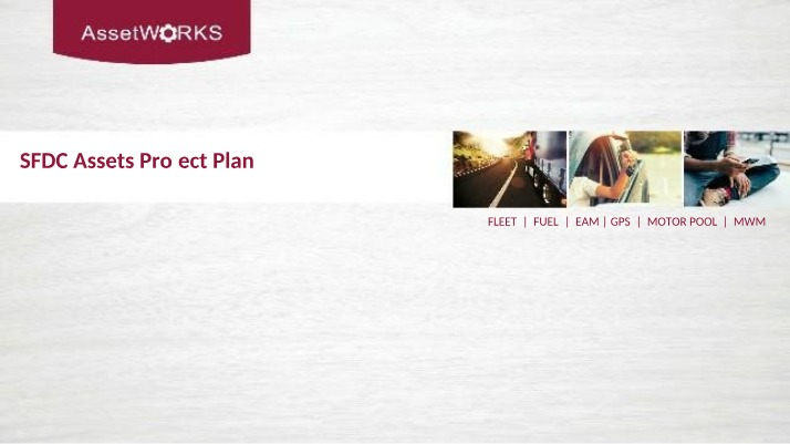 SFDC Assets Project Plan - Analysis, Phases, and Implementation