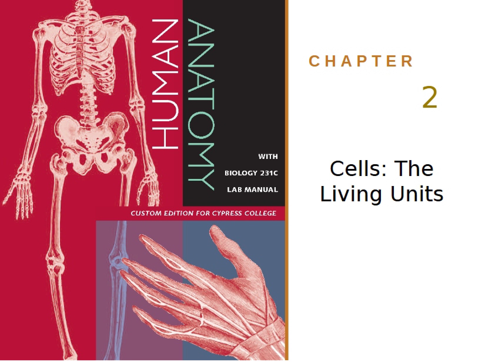 Cells as Living Units Chapter Two