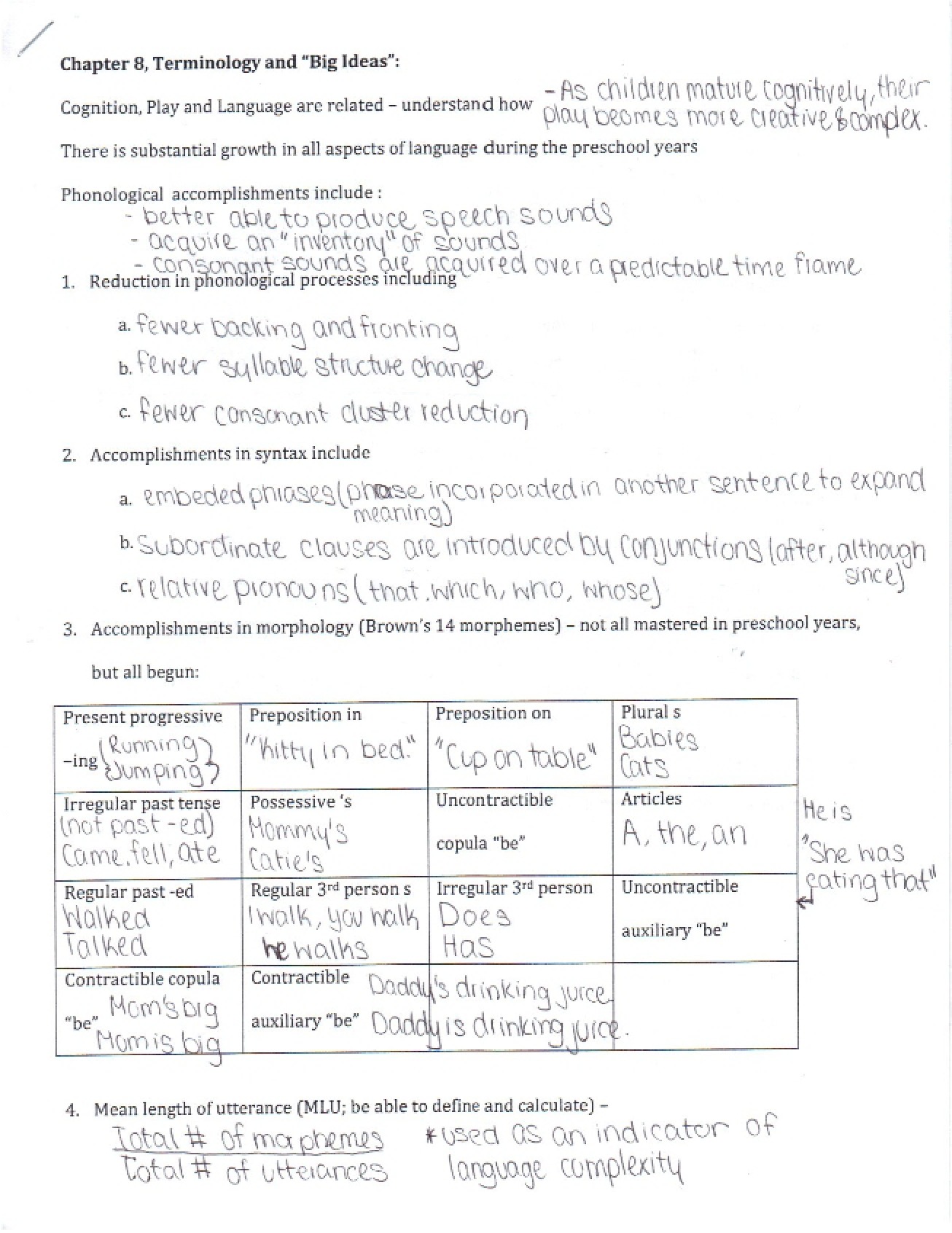 Speech and Language Acquisition Practice Test