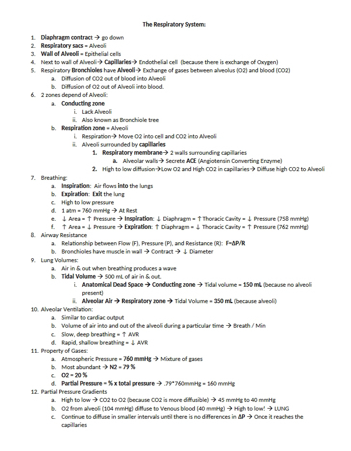Respiratory System Analysis - 9 Pages