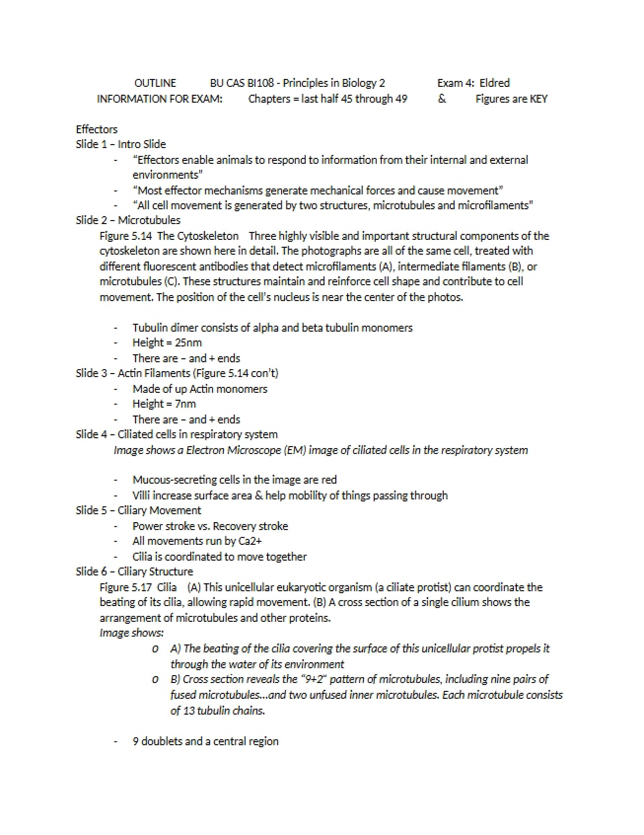 Comprehensive Study Guide for Biology II