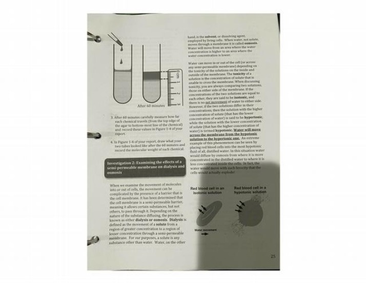 Investigation of Osmosis, Dialysis, and Semi-Permeable Membranes
