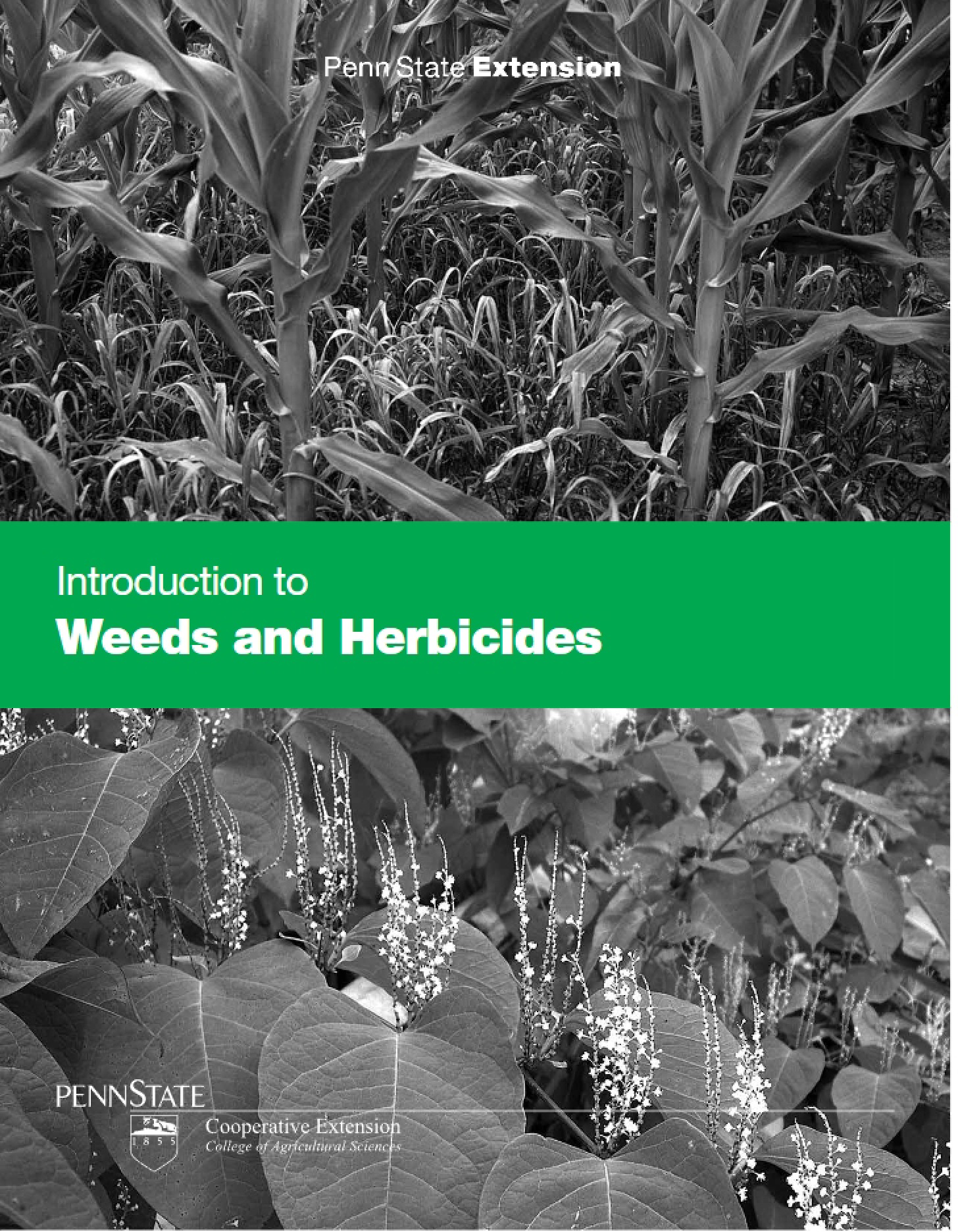 Herbicides and Weed Control