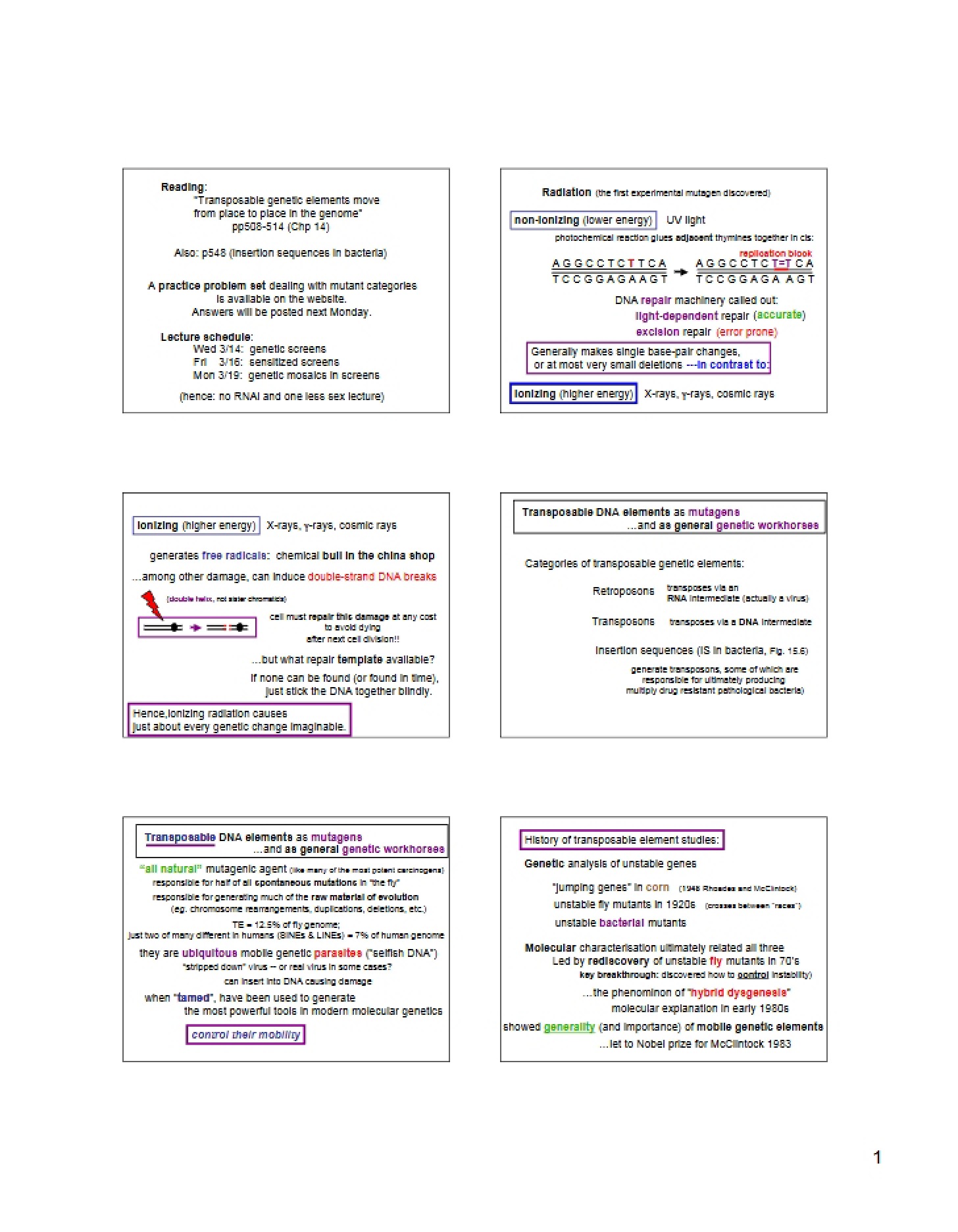 Notes from Lecture - 4 Pages