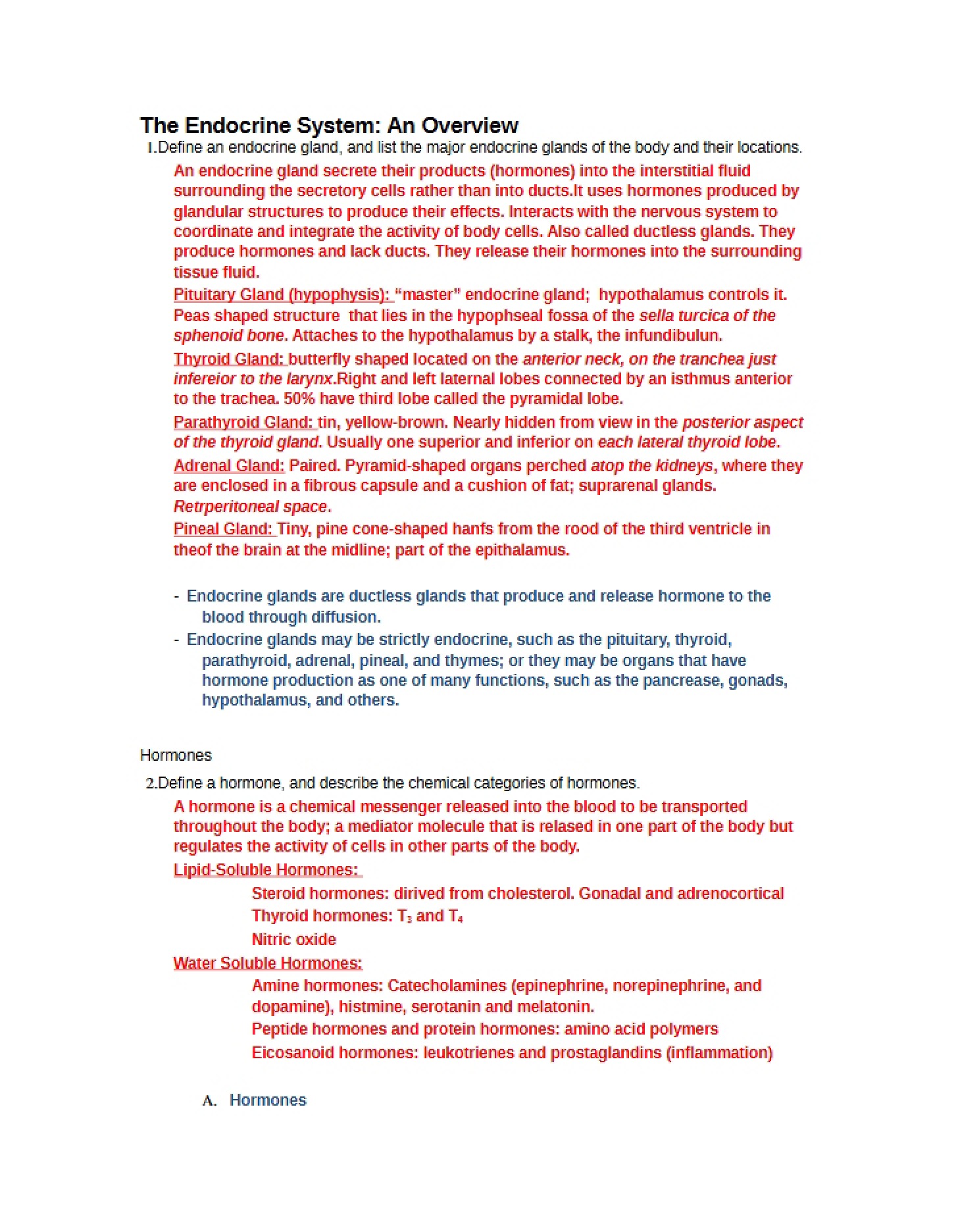 Endocrine System Overview