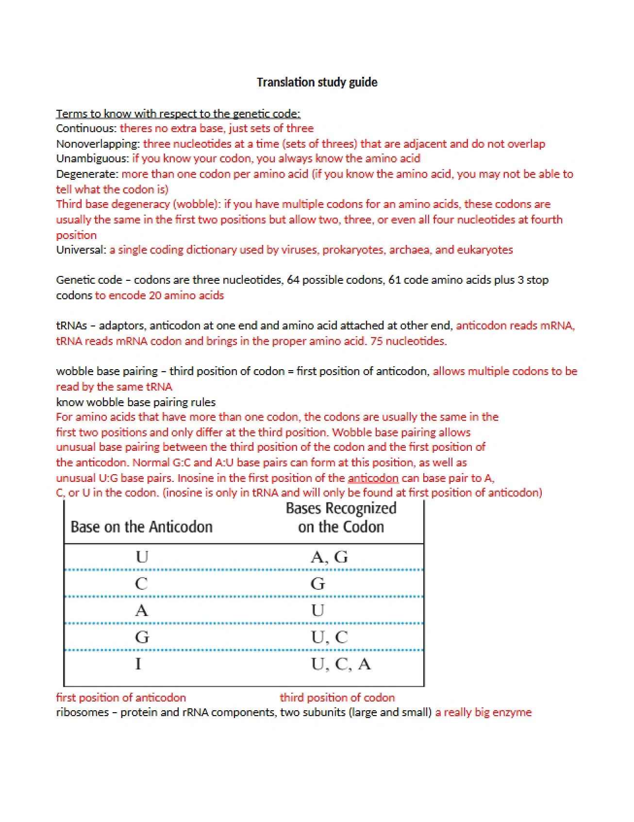 Study Guide for Translation