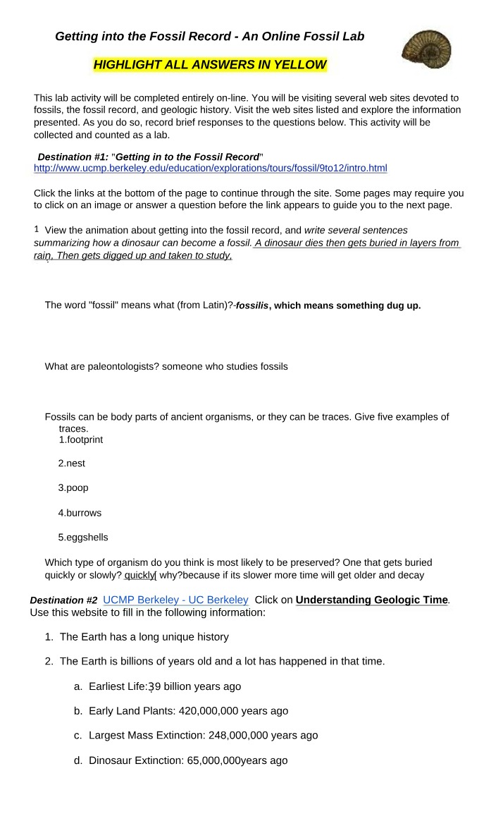 Fossil Webquest