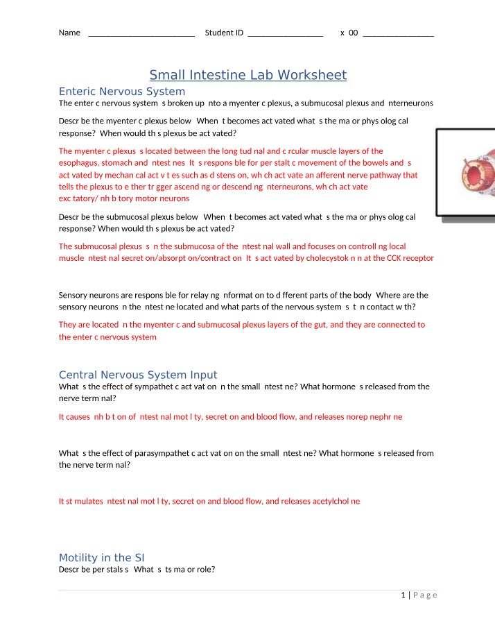 Lab Worksheet for Small Intestine