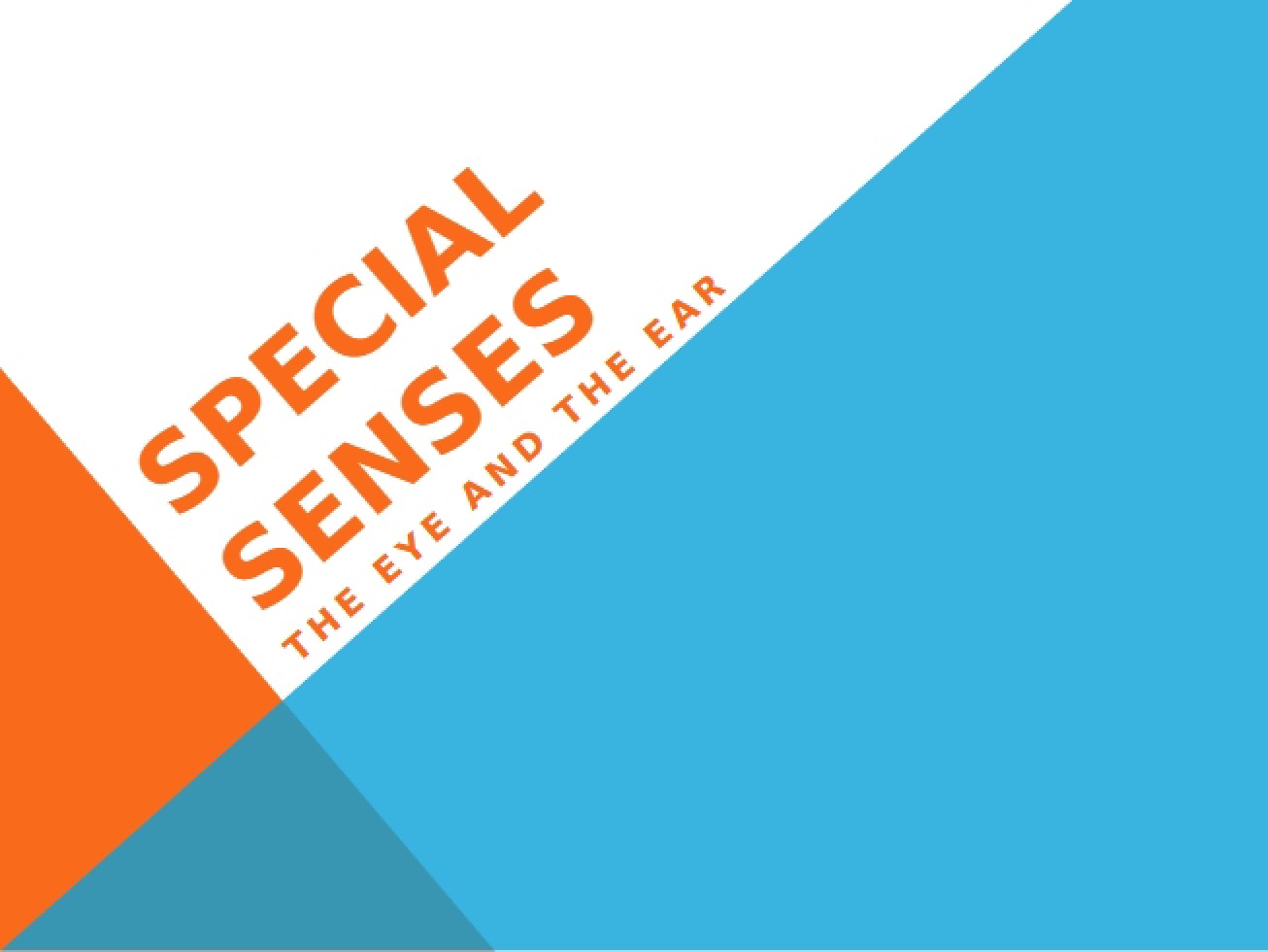 Exploration of the Special Senses