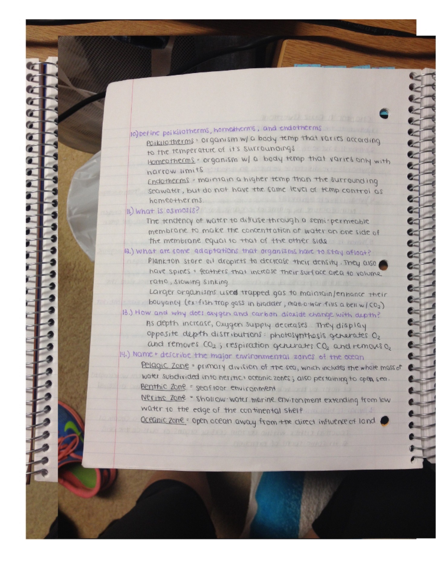 Study Notes