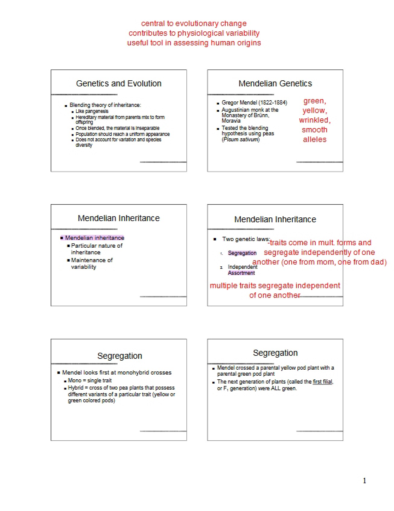 Genetics of Evolution (Lecture 3)