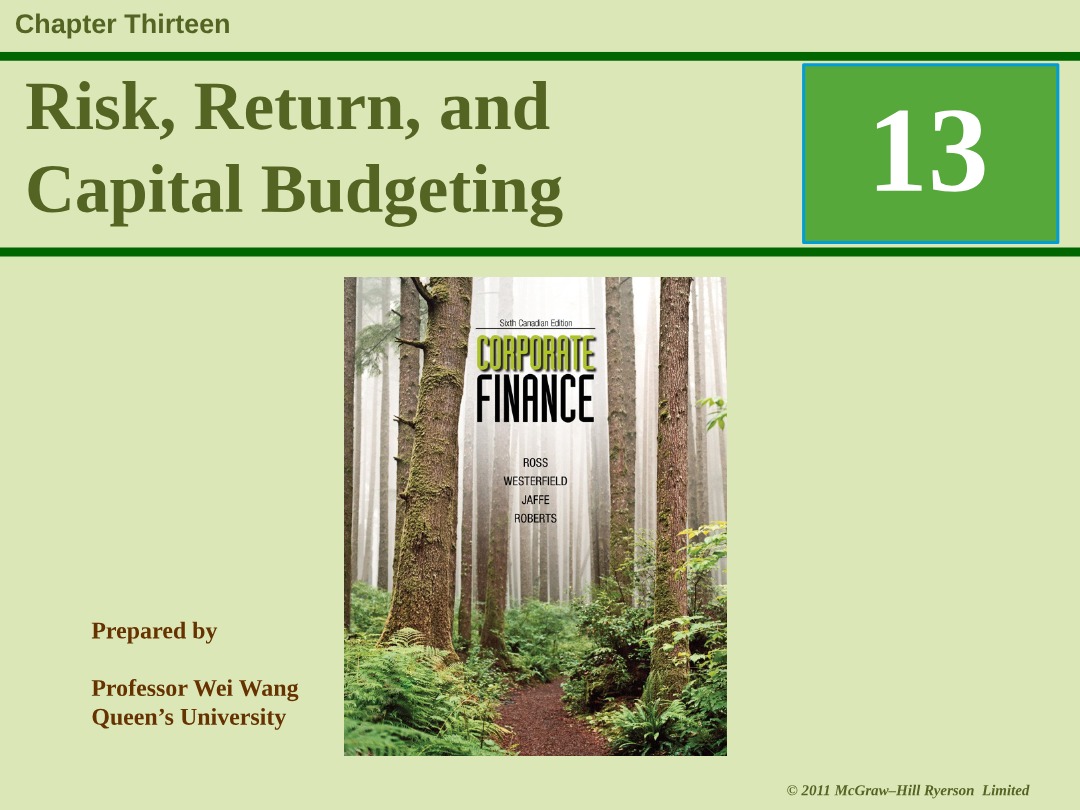 Chapter 13 - Corporate Finance