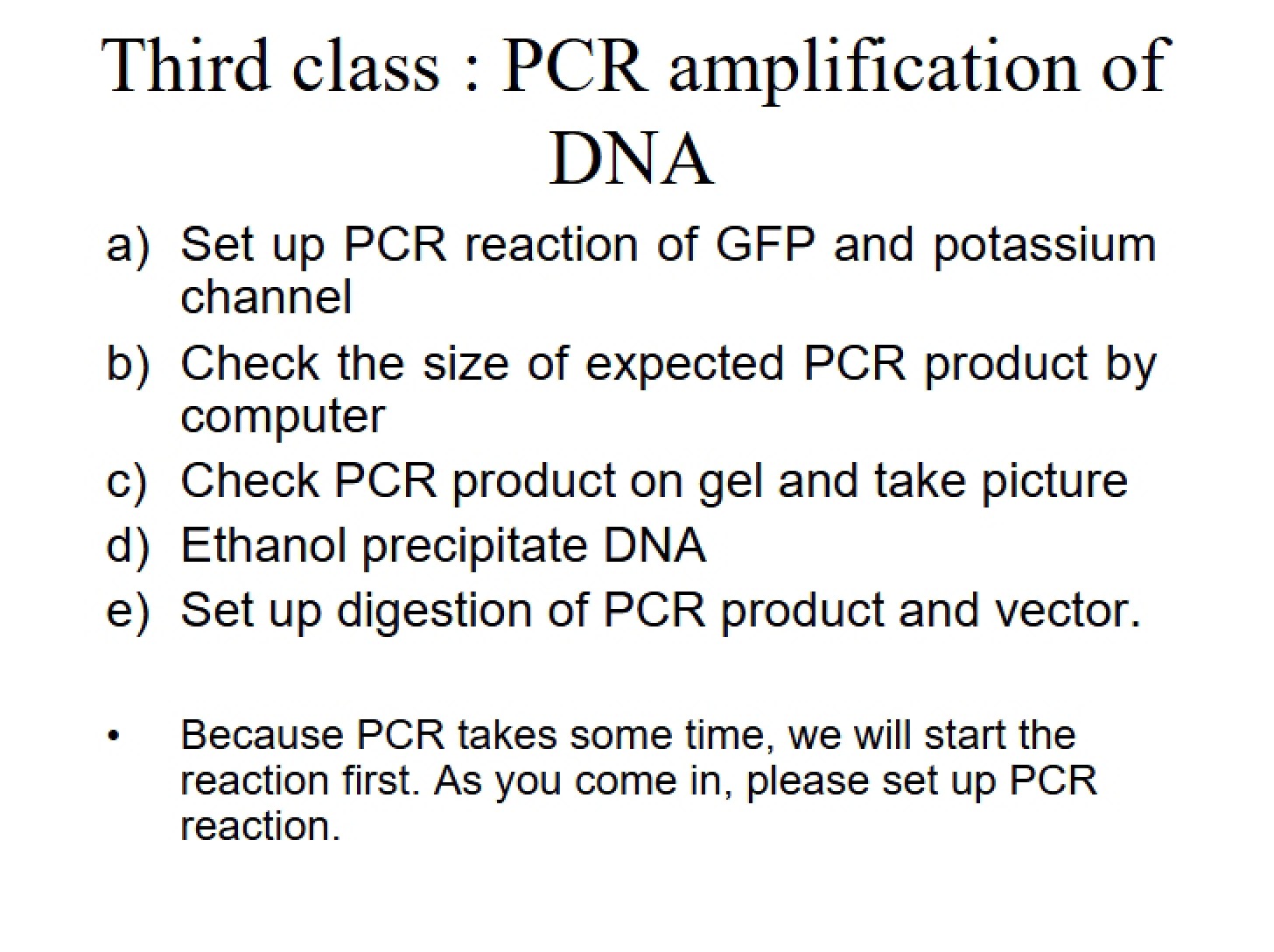 DNA Amplification via PCR