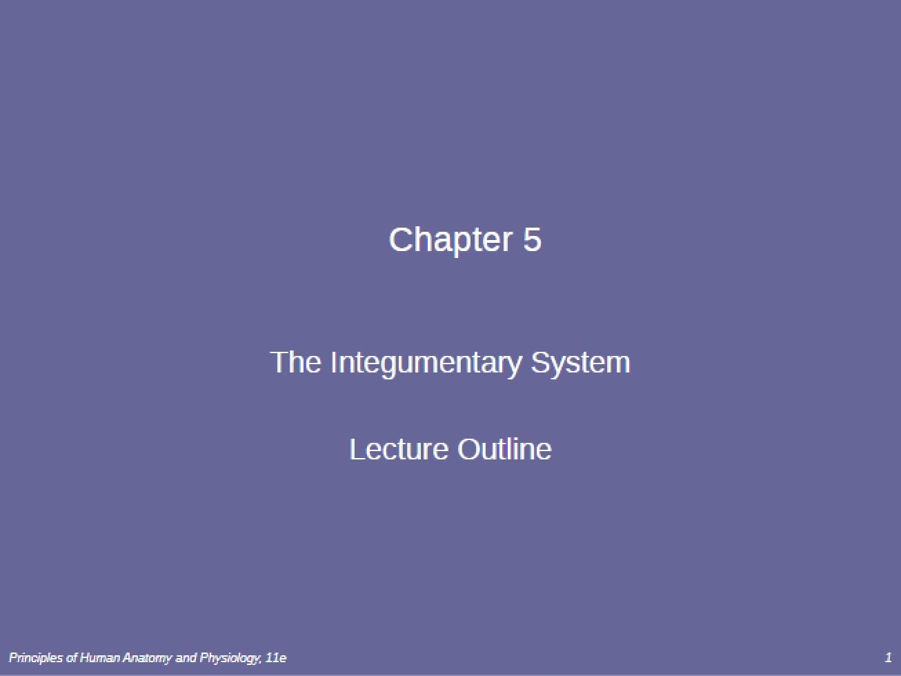 System of the Integument