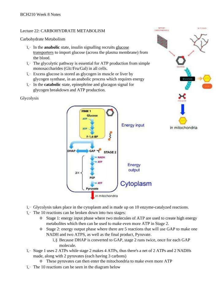 Week 8 Notes for BCH210