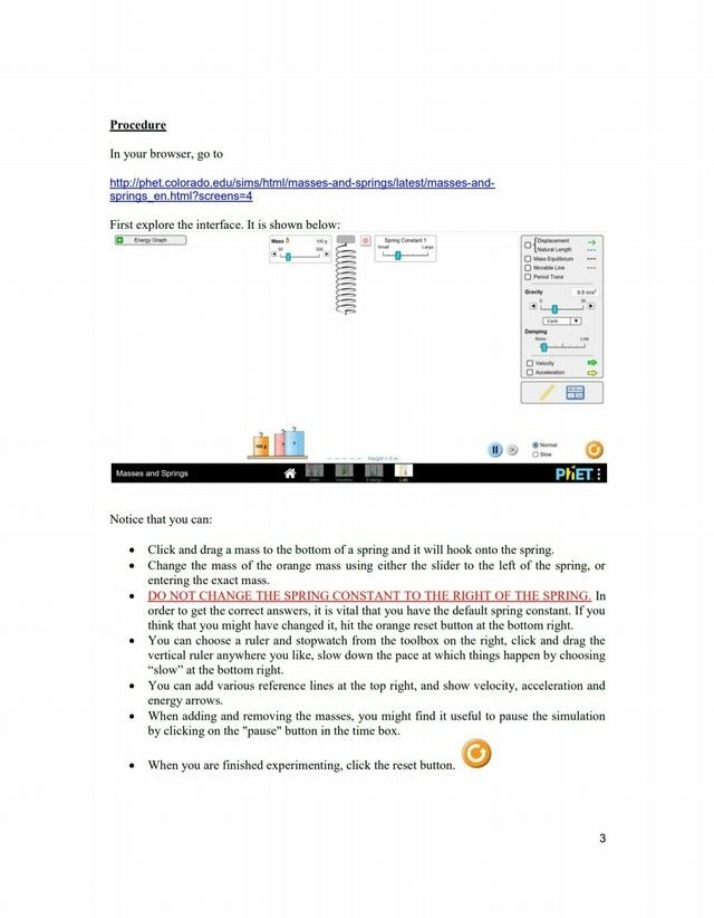 Guide for Masses and Springs Simulation