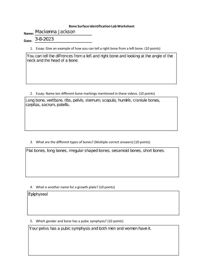 Lab Worksheet - Bone Surface Identification