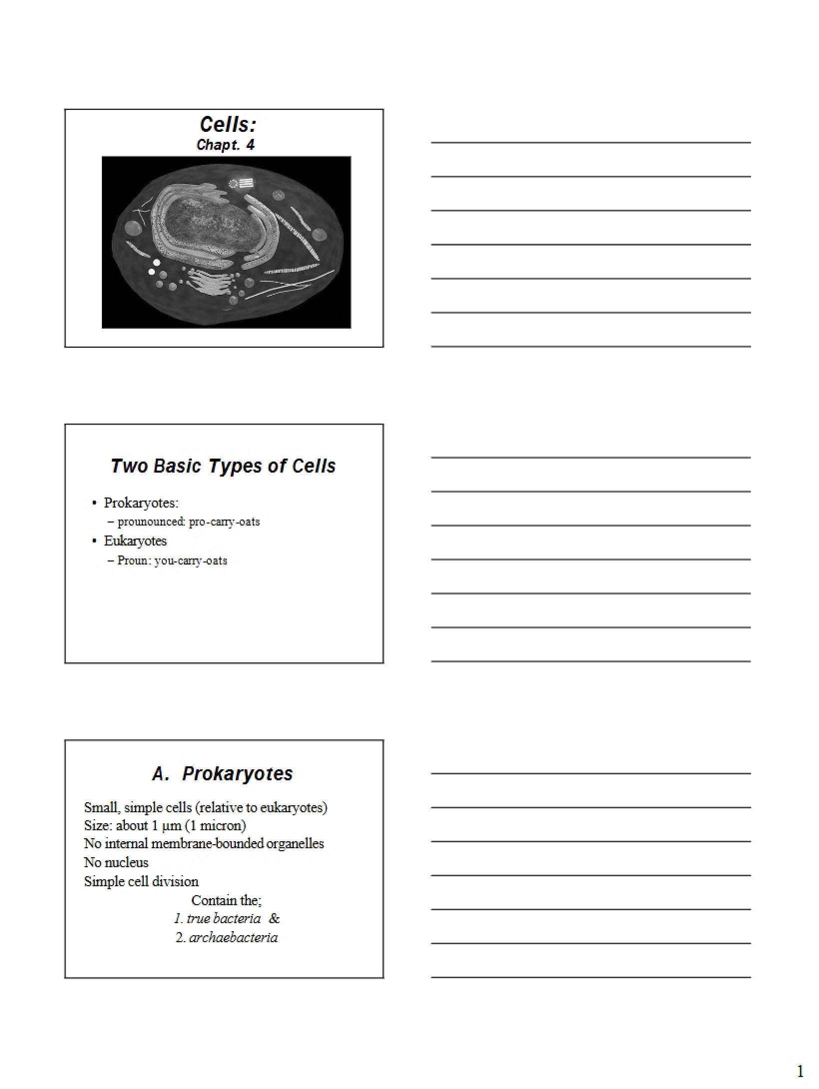 Biology II Cells