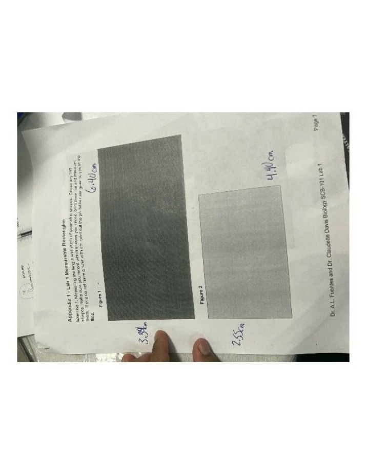 Lab 1 Exercise - Measuring Length and Width of Geometric Shapes