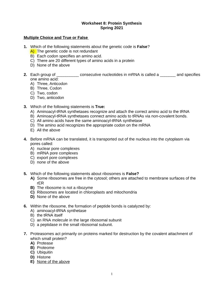 Worksheet on Protein Synthesis