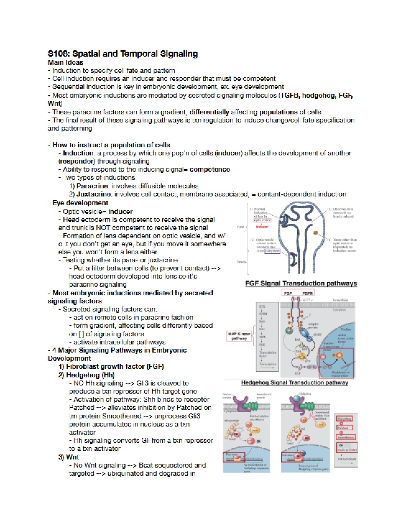 Lecture Review Spatial and Temporal Signaling in Development